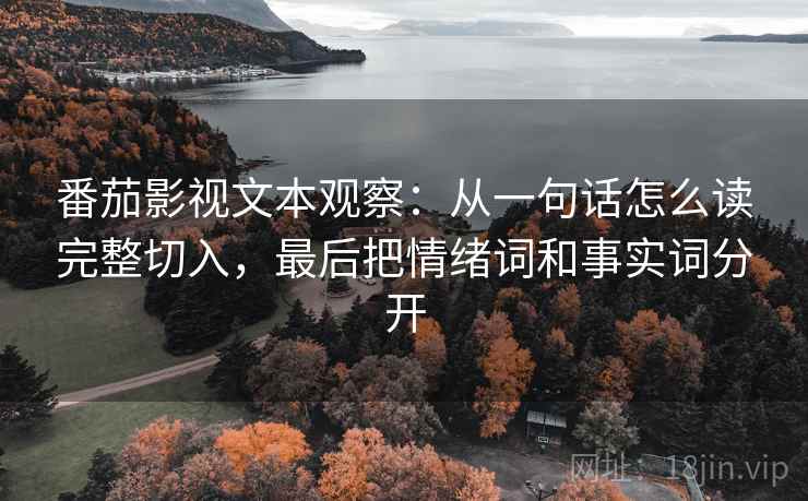 番茄影视文本观察：从一句话怎么读完整切入，最后把情绪词和事实词分开